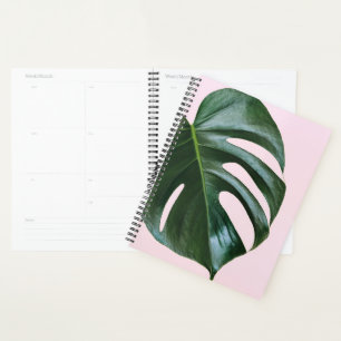 Monstera Tropical Leaf Planner