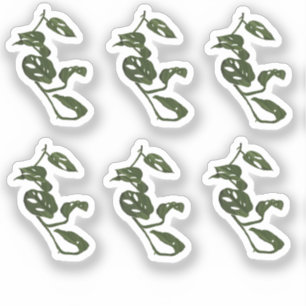 Monstera Vine Plant Drawing Design Sticker