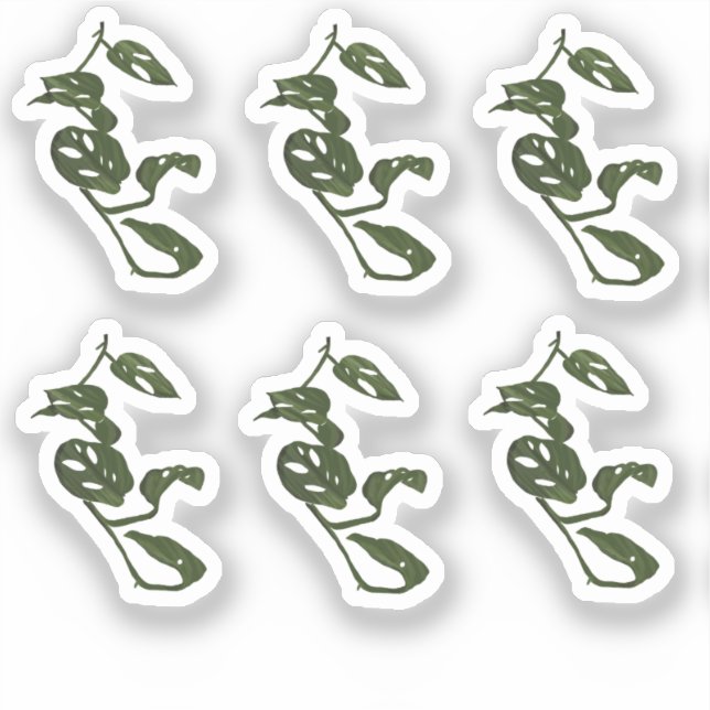 Monstera Vine Plant Drawing Design Sticker (Front)