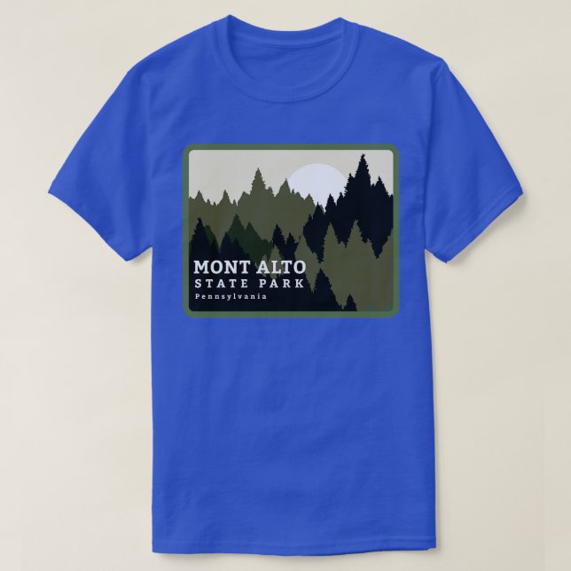Mont Alto State Park Pennsylvania Forest Sunrise T-Shirt (Design Front)