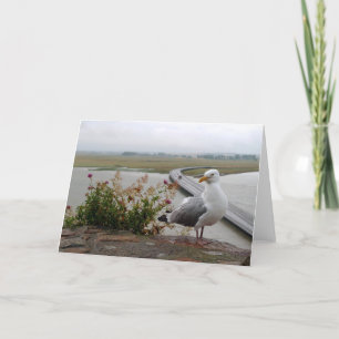 Mont-Saint-Michel Lookout, Normandy, France - card