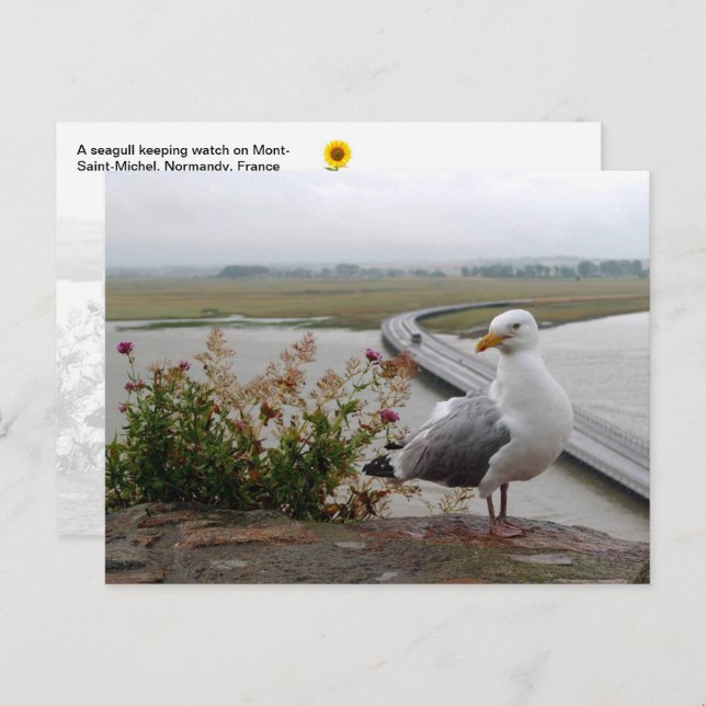 Mont-Saint-Michel Lookout, Normandy, France -  Postcard (Front/Back)