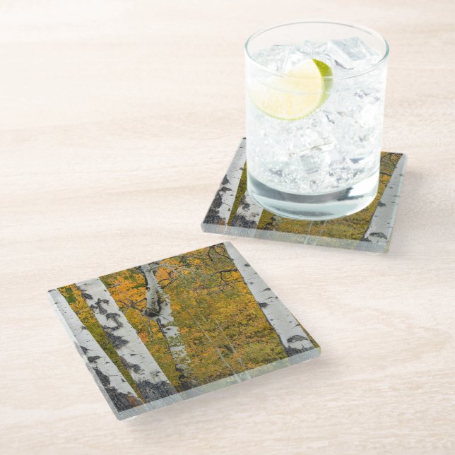 Montana Autumn Glass Coaster (Angled)