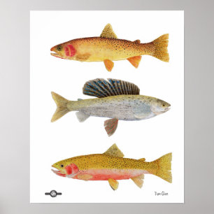 Montana Beauties Poster