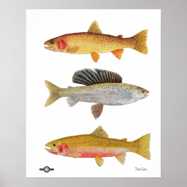 Montana Beauties Poster (Front)