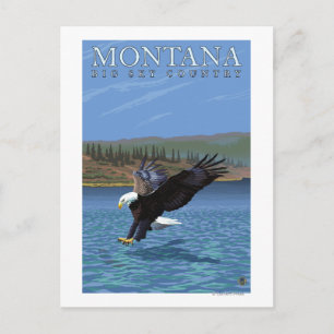 Montana -- Big Sky CountryDiving Eagle Postcard