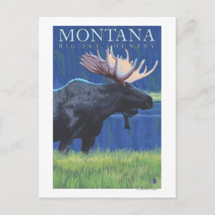 Montana -- Big Sky CountryMoose in Moonlight Postcard