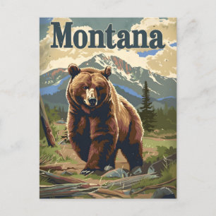 Montana Brown Bear Postcard