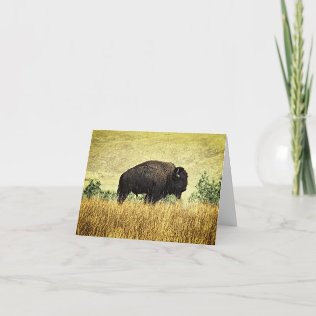 Montana Buffalo Card (Front)