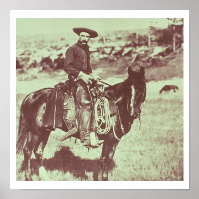 Montana Cowboy, c.1880 (b/w photo) Poster (Front)
