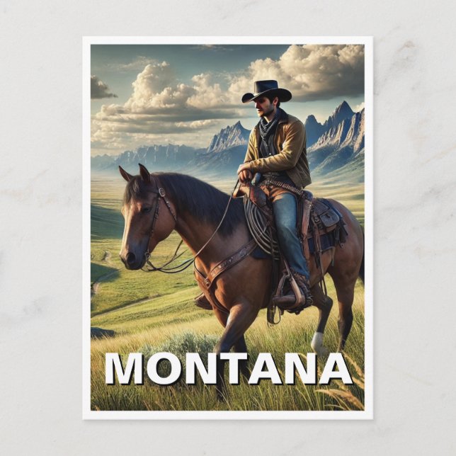 Montana Cowboy on a horse Postcard (Front)