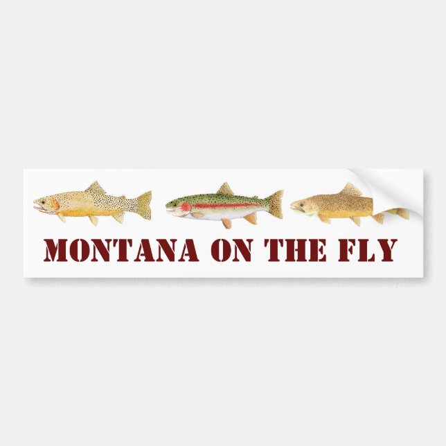 Montana Fly Fishing Bumper Sticker (Front)