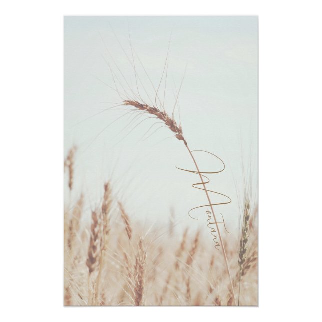 Montana Golden Wheat Head Blue Sky Poster (Front)