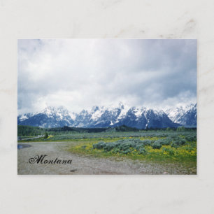 Montana Hills Landscape Beautiful 1950's Postcard