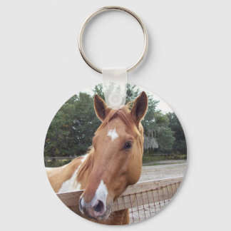 montana key ring