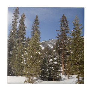 Montana Mountain Trails in Winter Landscape Photo Ceramic Tile