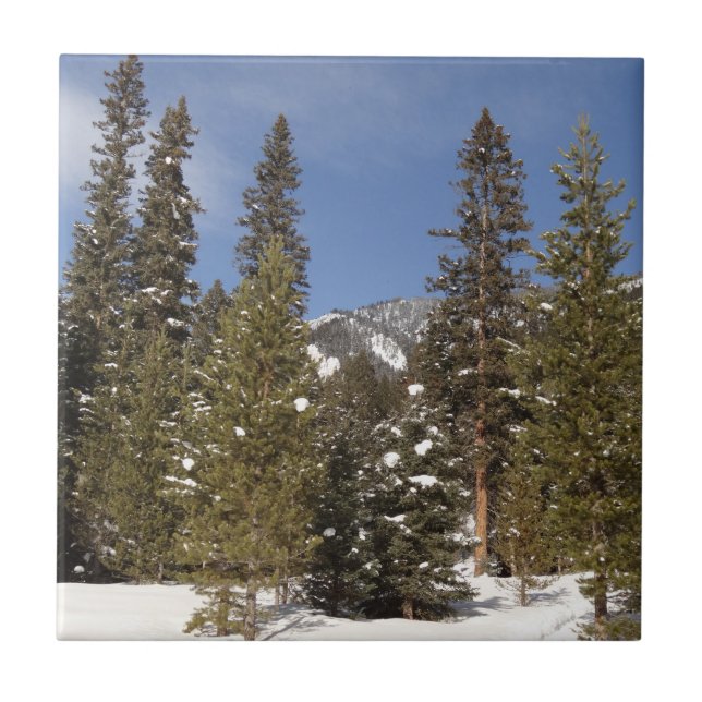 Montana Mountain Trails in Winter Landscape Photo Ceramic Tile (Front)
