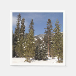 Montana Mountain Trails in Winter Landscape Photo Napkin