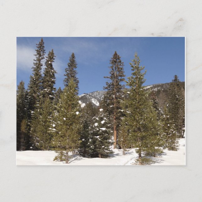 Montana Mountain Trails in Winter Landscape Photo Postcard (Front)