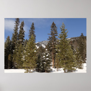 Montana Mountain Trails in Winter Landscape Photo Poster