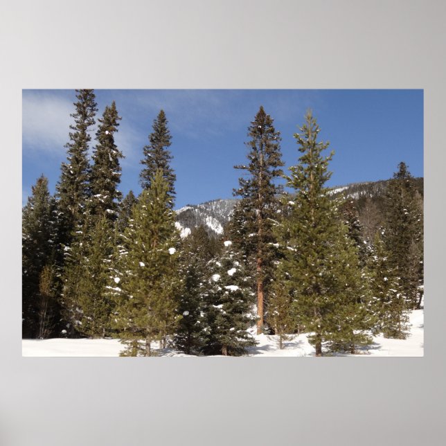 Montana Mountain Trails in Winter Landscape Photo Poster (Front)