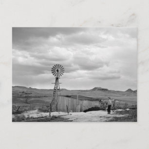 Montana Sheep Ranch, 1942 Postcard