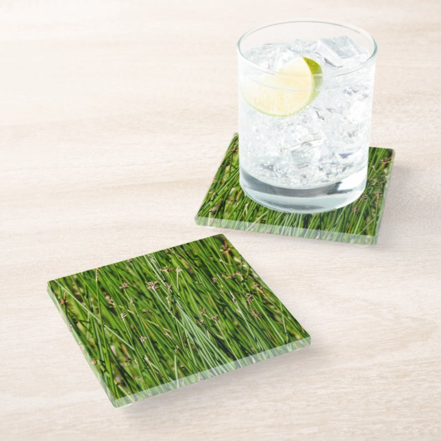 Montana Spring Glass Coaster (Angled)