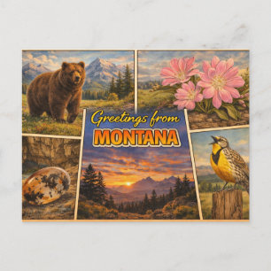 Montana State Postcard