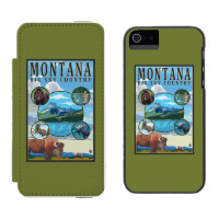 Montana State Scenes