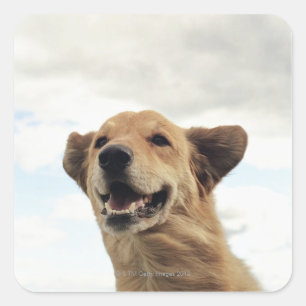 Montana, USA Square Sticker