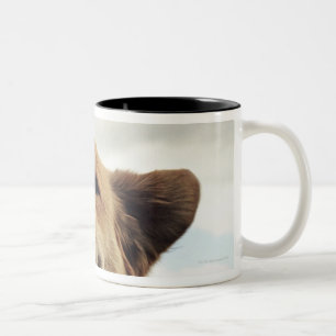 Montana, USA Two-Tone Coffee Mug