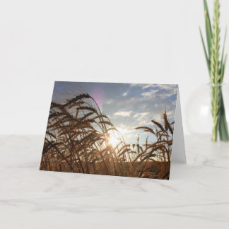 Montana Wheat Card