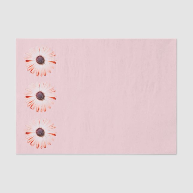 Montana Wildflowers In Pink Tissue Paper (Front)