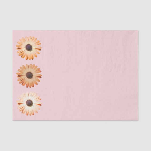 Montana Wildflowers In Pink Tissue Paper (Front)