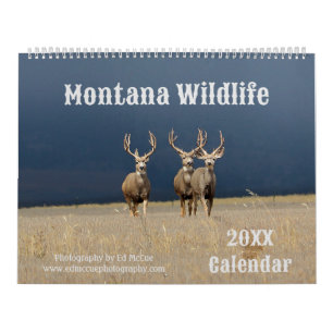 Montana Wildlife  Calendar