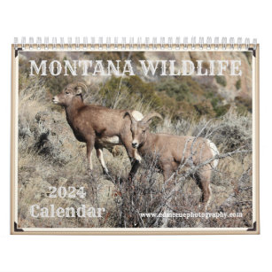Montana Wildlife Calendar