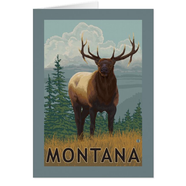 MontanaElk Scene (Front)