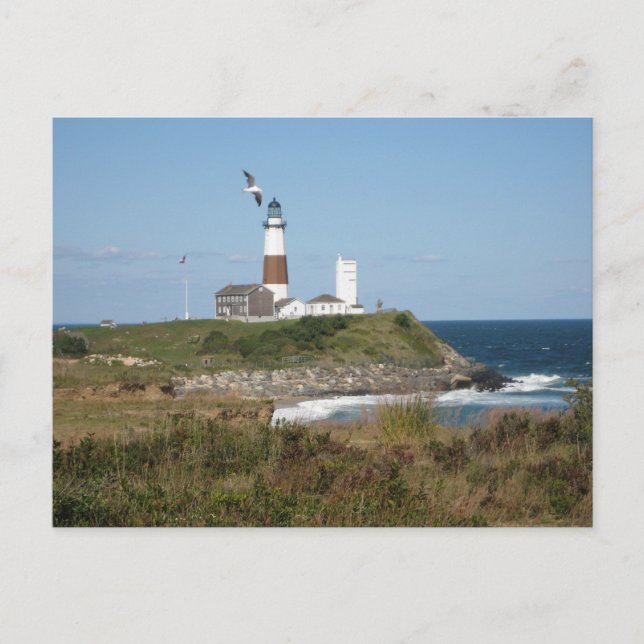 MONTAUK Lighthouse Seagull Love Postcard (Front)