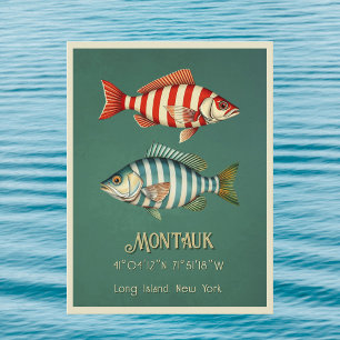 Montauk Long Island New York fish Postcard
