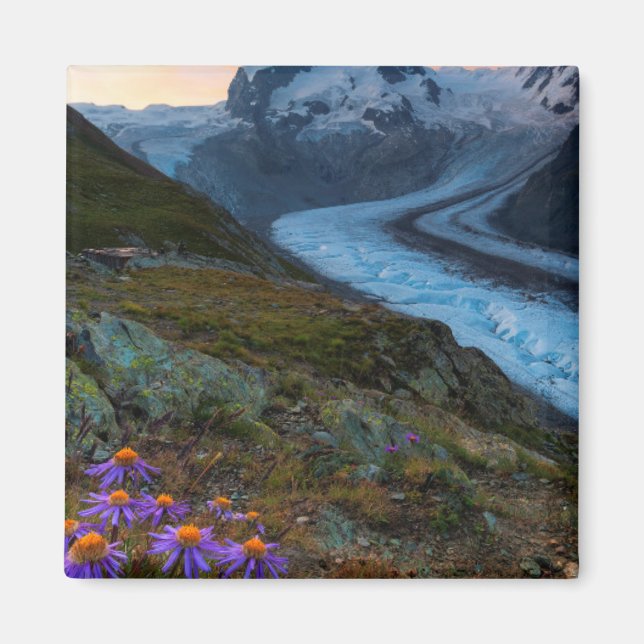 Monte Rosa Glacier | Switzerland Magnet (Front)