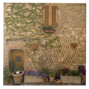 Montefollonico, Val d'Orcia, Siena province, Tile