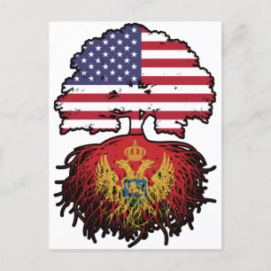 Montenegro Montenegrin American USA United States Postcard