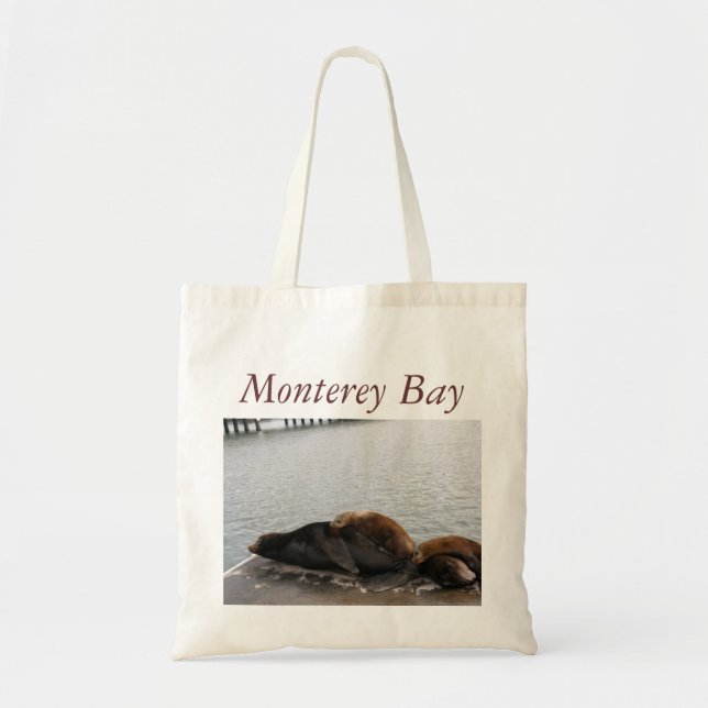 Monterey Bay Bag (Front)