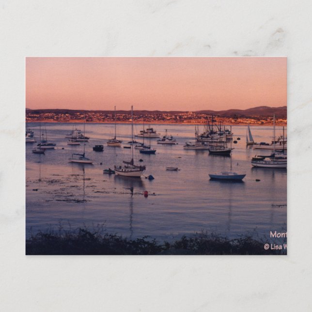Monterey Bay California 1985 Postcard (Front)