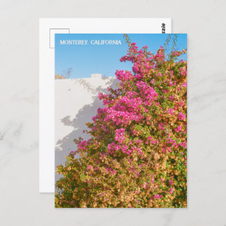 Monterey Bay California | Film Photography | Wharf Postcard