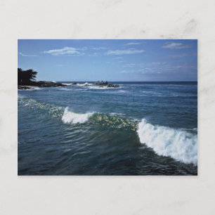 Monterey Bay, California Postcard