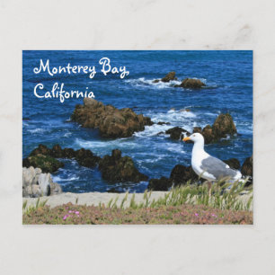 Monterey Bay, Postcard