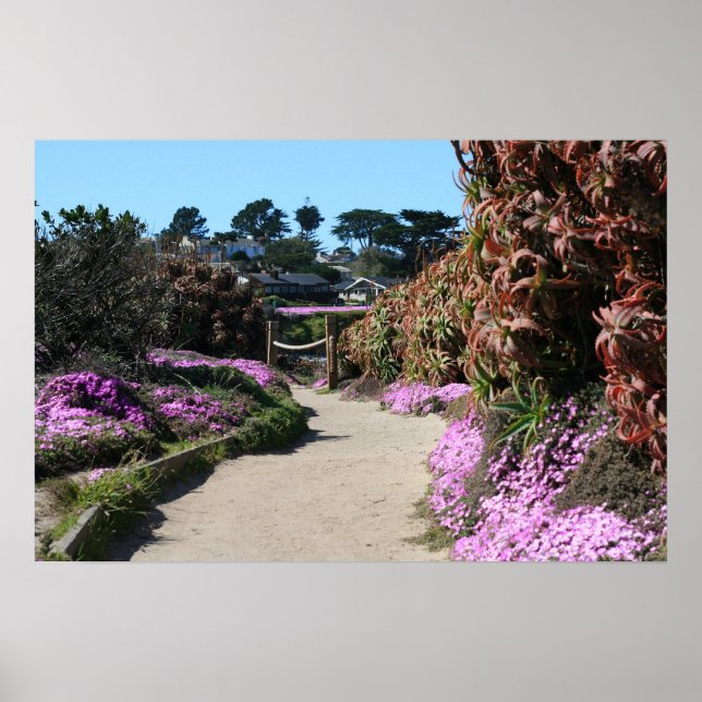 Monterey Beach trail, Spring Photo Poster (Front)