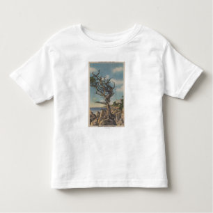 Monterey, CA - Old Witch Tree on 17 Mile Toddler T-Shirt