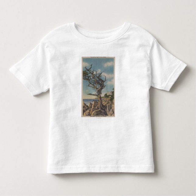 Monterey, CA - Old Witch Tree on 17 Mile Toddler T-Shirt (Front)